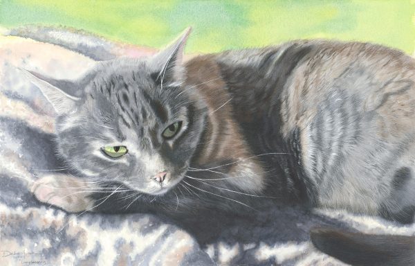 Watercolor work depicting a striped gray cat lying in a curled position.