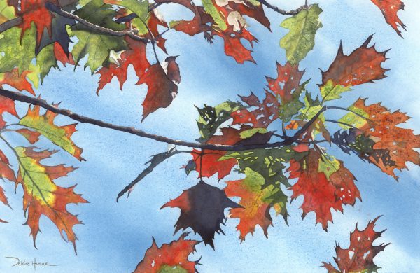 Fall leaves in watercolor by Deidre Husak.