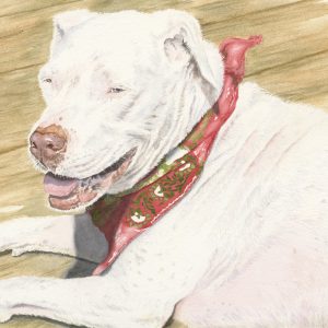 Watercolor painting of friendly white dog with a red kercheif.