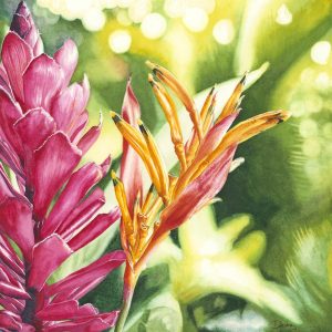 Watercolor of tropical flower by Deidre Husak.