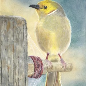 Watercolor of a yellow bird sitting on fence hardware with spider web details by Deidre Husak.